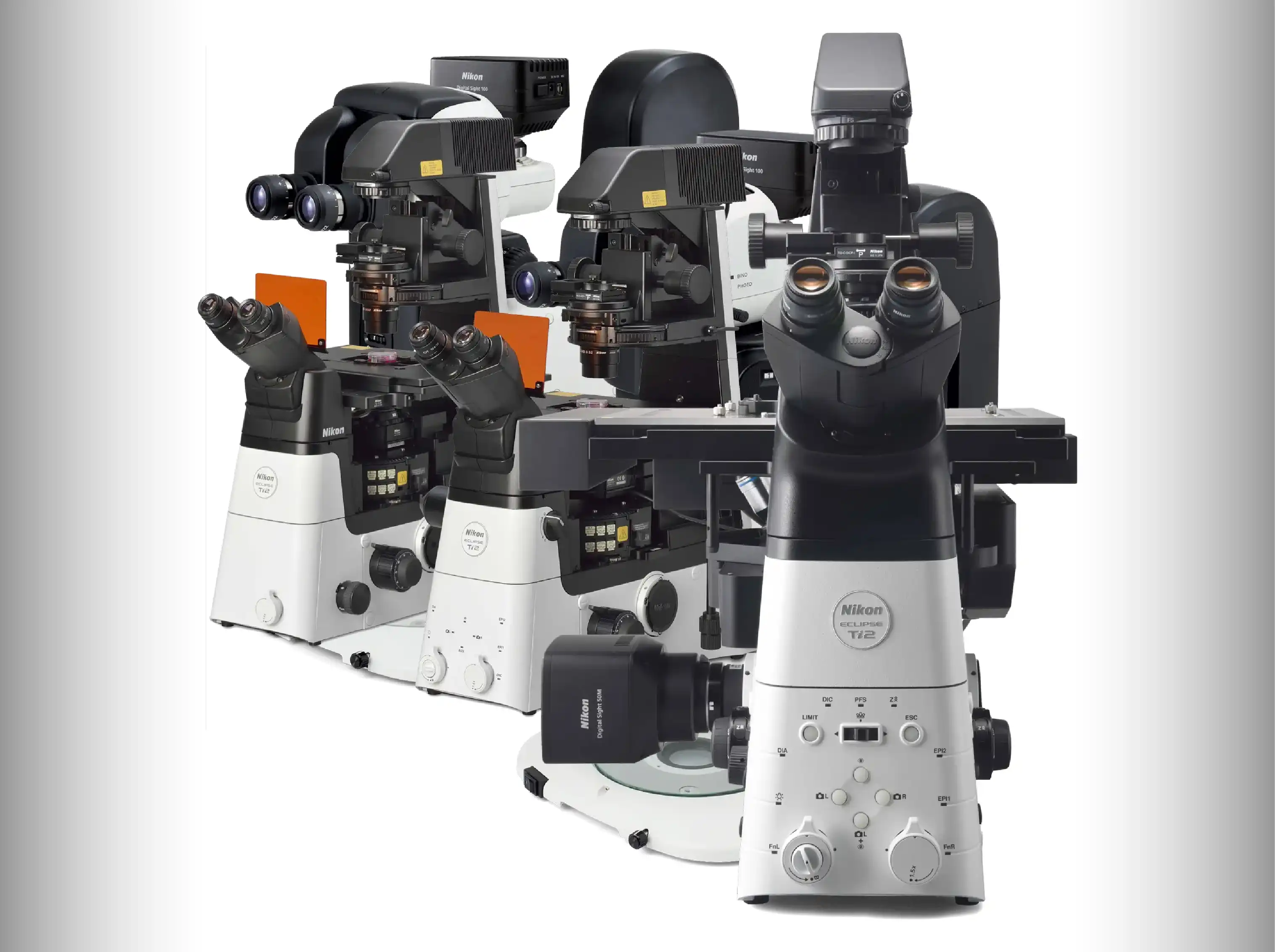 In Vitro Fertilization (IVF) | Jordan